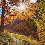 公寓 Prieth 萨姆瑙恩